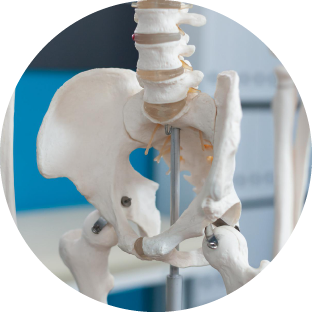 Fractura de pelvis